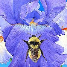 Схема вышивки «Пчела»