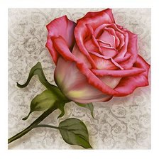 Схема вышивки «Роза»