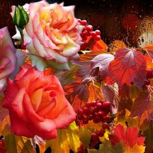 Схема вышивки «Калина и розы»