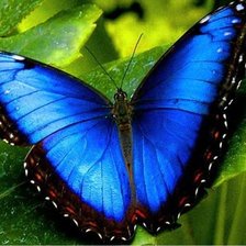 Схема вышивки «№2154756»