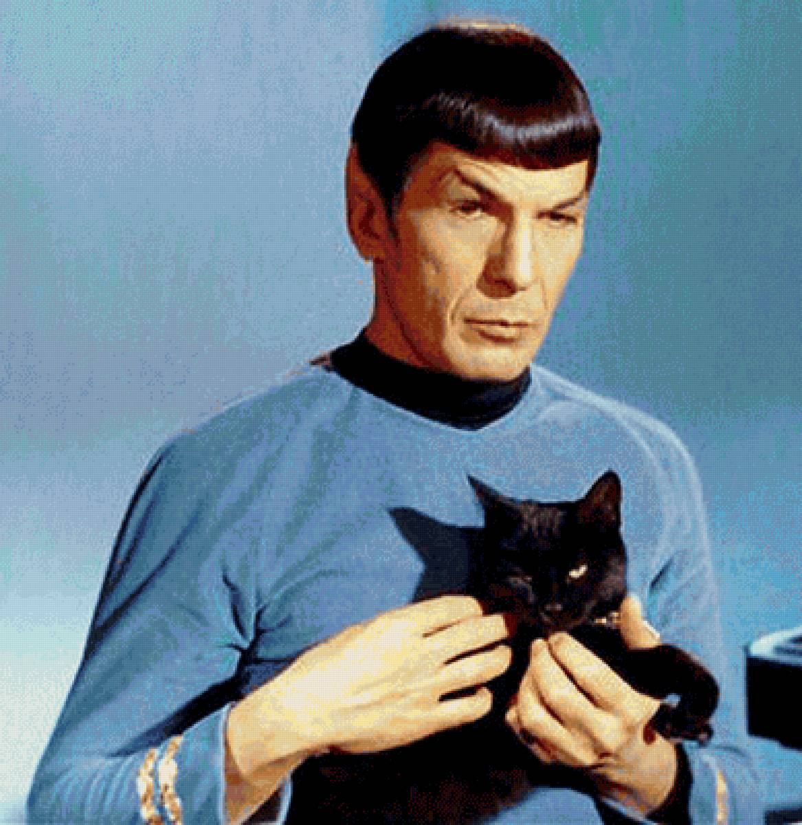 Спок - звездный путь, кошка - предпросмотр