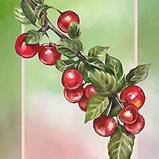 Схема вышивки «№2155032»