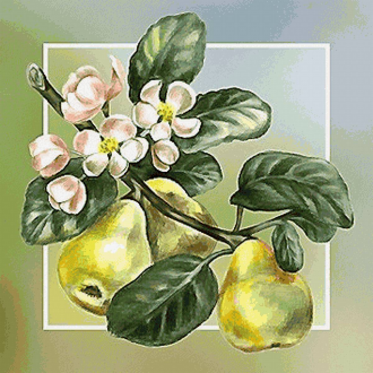 №2155035 - предпросмотр