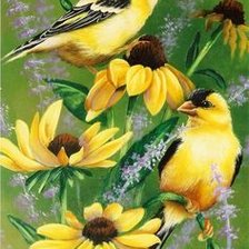 Схема вышивки «№2155089»