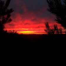 Схема вышивки «Папины закаты»