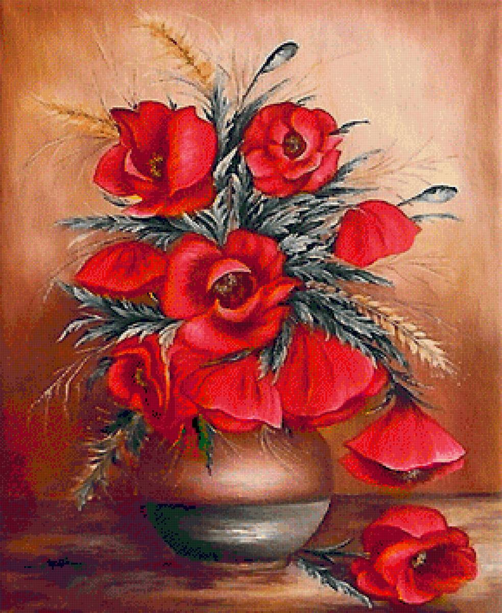 Maci - предпросмотр