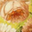 Предпросмотр схемы вышивки «Букет» (№2155455)