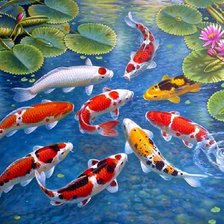 Схема вышивки «Карпы Кои»