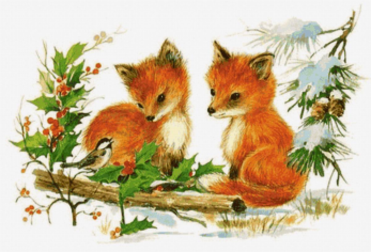 лисята - птичка, лисы, зима - предпросмотр