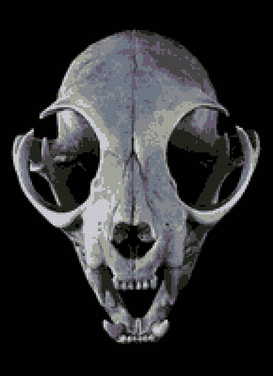 череп кошки - котик, череп кошка - предпросмотр