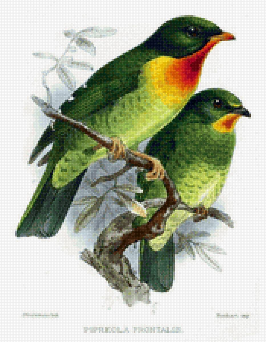 №2156052 - предпросмотр