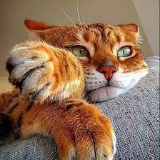 Схема вышивки «кот»