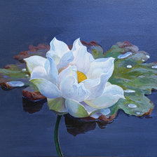 Схема вышивки «Это не фото»