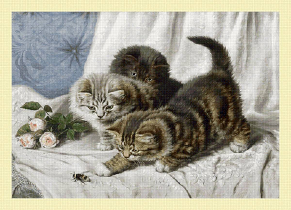 Серия "Коты". - коты, животные - предпросмотр