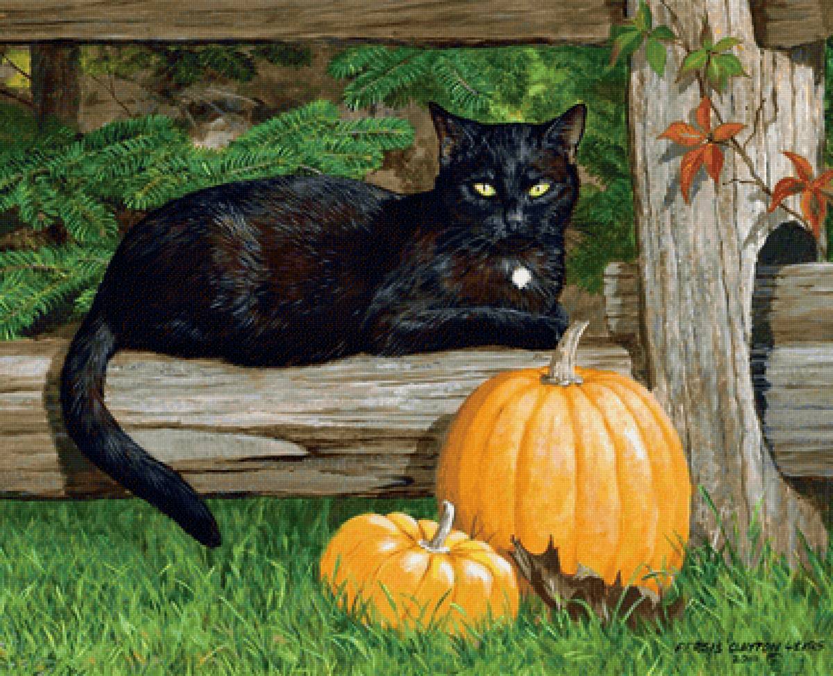 №2156225 - кот, тыква - предпросмотр