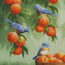 Схема вышивки «№2156232»