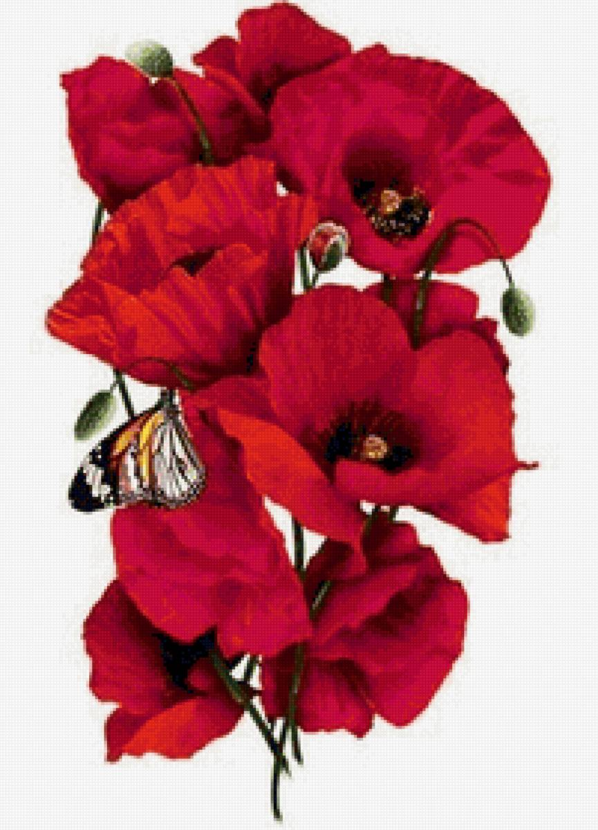 №2156240 - предпросмотр