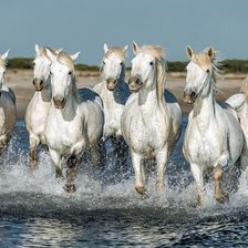 Схема вышивки «лошади»