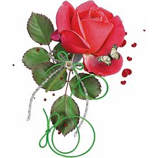 Схема вышивки «роза»