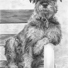 Схема вышивки «собака»