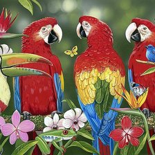 Схема вышивки «птицы»