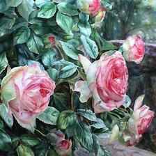 Схема вышивки «розовый куст»