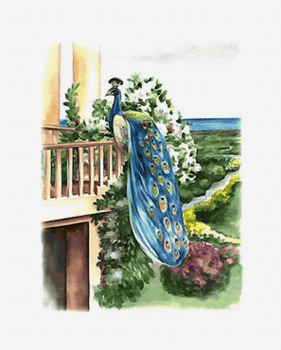 акварель - предпросмотр