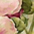 Предпросмотр схемы вышивки «мальва» (№2156616)