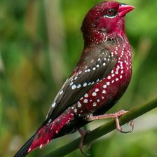 Схема вышивки «№2156659»