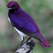 Схема вышивки «№2156662»