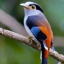 Схема вышивки «№2156666»