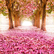 Схема вышивки «аллея»