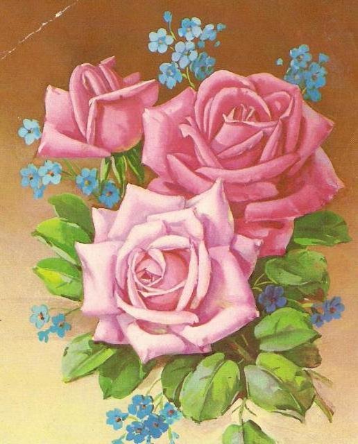 розы1643 - оригинал