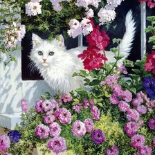 кот в цветах