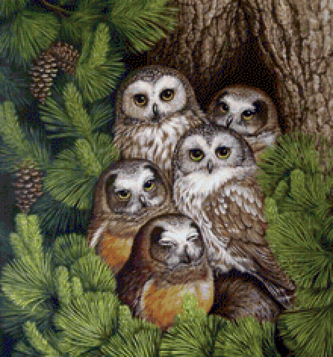 Совушки - сова - предпросмотр