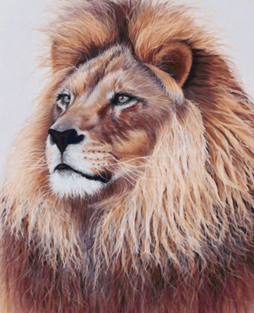 №2157819 - предпросмотр