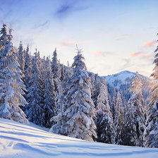 Схема вышивки «Карпаты»