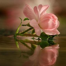 Схема вышивки «Букет»