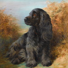 Схема вышивки «№2158877»