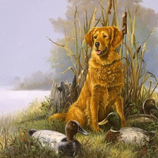 Схема вышивки «№2158899»