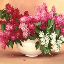 Схема вышивки «Натюрморт»