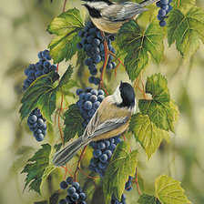 Схема вышивки «Синички на винограде»