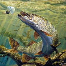 Схема вышивки «№2159079»