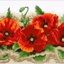 Схема вышивки «Красные маки»