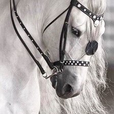 Схема вышивки «Белый 1»