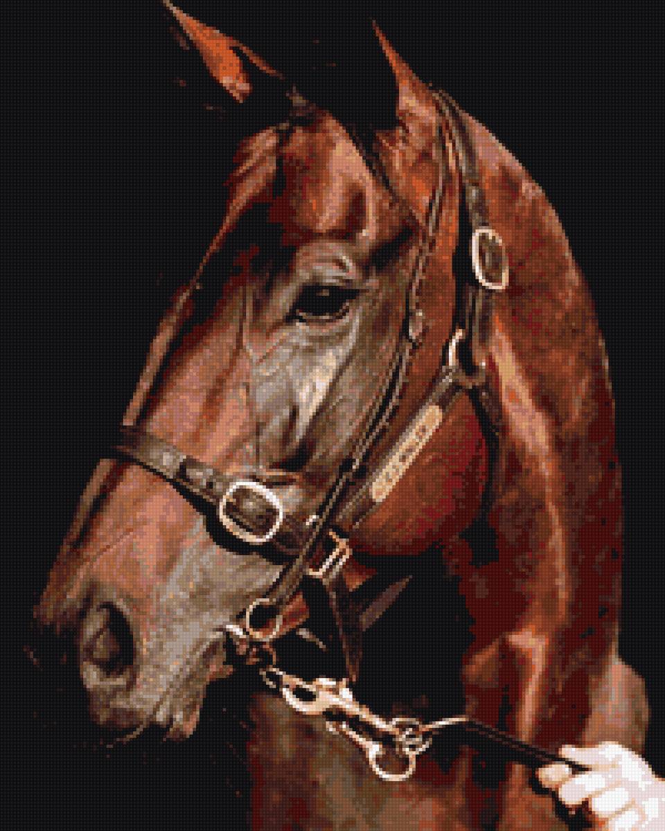 Конь - конь, лошадь - предпросмотр