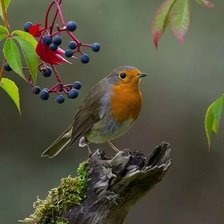 Схема вышивки «№2159593»