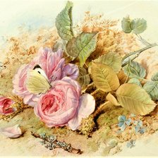 Схема вышивки «№2159610»