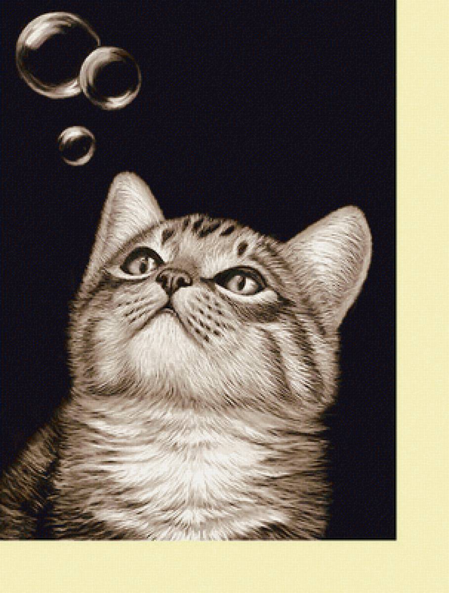 Серия "Коты". - животные, коты - предпросмотр