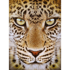 Схема вышивки «Серия "Хищники".»